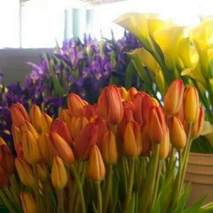 Meet your Posher, Tiffany